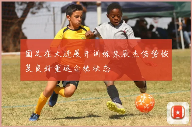 国足在大连展开训练朱辰杰伤势恢复良好重返合练状态